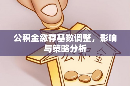 确山公积金缴存基数调整，影响与策略分析