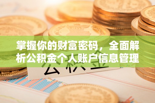 确山掌握你的财富密码，全面解析公积金个人账户信息管理与优化