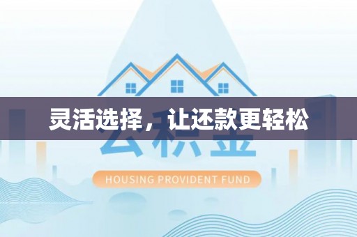 确山灵活选择，让还款更轻松
