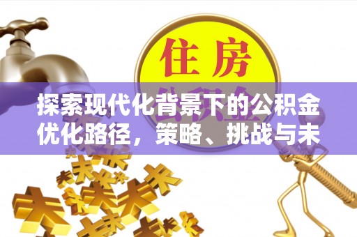 确山探索现代化背景下的公积金优化路径，策略、挑战与未来展望