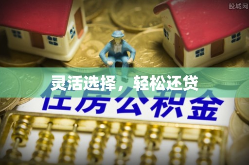 确山灵活选择，轻松还贷