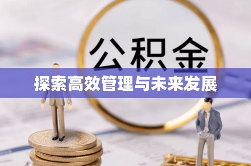 确山探索高效管理与未来发展