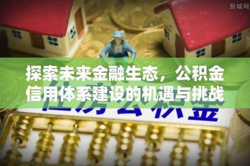 确山探索未来金融生态，公积金信用体系建设的机遇与挑战