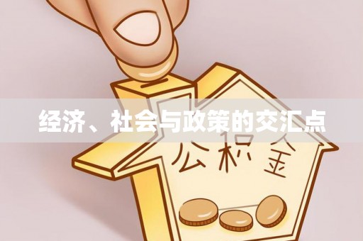 确山经济、社会与政策的交汇点
