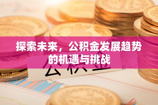 确山探索未来，公积金发展趋势的机遇与挑战