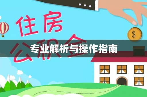 确山专业解析与操作指南