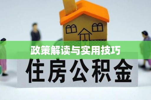 确山政策解读与实用技巧