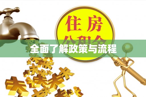 确山全面了解政策与流程