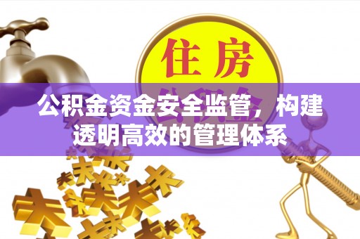 确山公积金资金安全监管，构建透明高效的管理体系