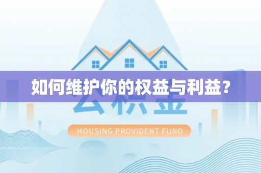 确山如何维护你的权益与利益？