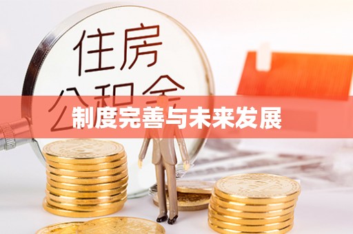 确山制度完善与未来发展