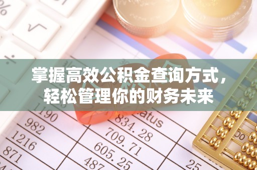确山掌握高效公积金查询方式，轻松管理你的财务未来