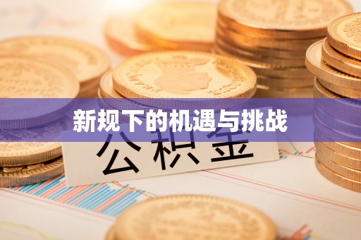 确山新规下的机遇与挑战