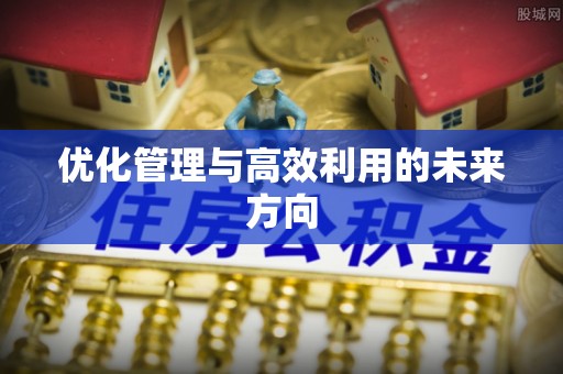 确山优化管理与高效利用的未来方向