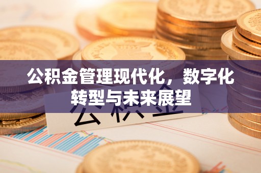 确山公积金管理现代化，数字化转型与未来展望