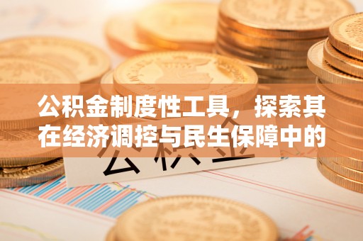 确山公积金制度性工具，探索其在经济调控与民生保障中的重要作用