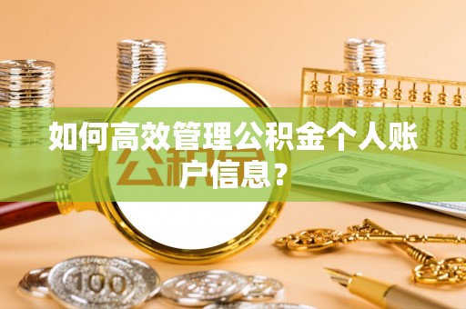 确山如何高效管理公积金个人账户信息？