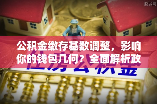确山公积金缴存基数调整，影响你的钱包几何？全面解析政策与实际收益