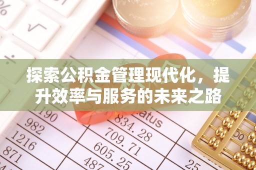 确山探索公积金管理现代化，提升效率与服务的未来之路