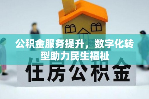 确山公积金服务提升，数字化转型助力民生福祉