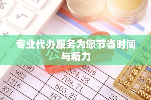 确山专业代办服务为您节省时间与精力