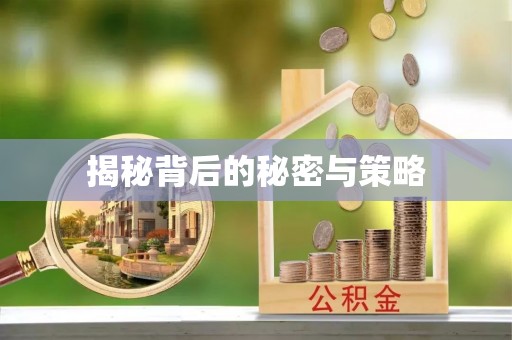 确山揭秘背后的秘密与策略