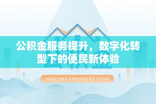 确山公积金服务提升，数字化转型下的便民新体验