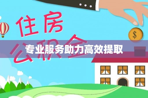 确山专业服务助力高效提取
