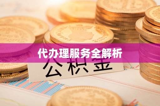 确山代办理服务全解析