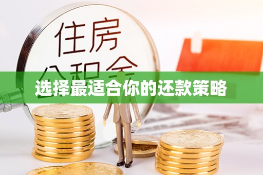 确山选择最适合你的还款策略
