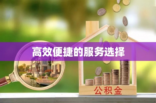 确山高效便捷的服务选择
