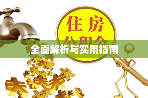 确山全面解析与实用指南